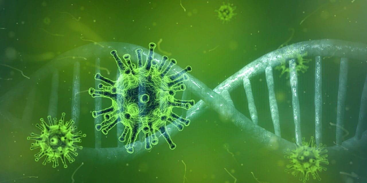 Imagem ilustra o vírus em formato circular, sendo um maior no meio da tela e outros menores no fundo. De um lado a outro da montagem há um desenho que simula o dna humano.