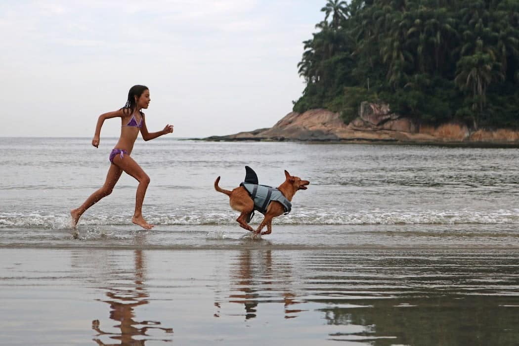 Criança corre atrás de cão em praia de Santos. Ao fundo, o mar e parte de uma montanha com vegetação verde.