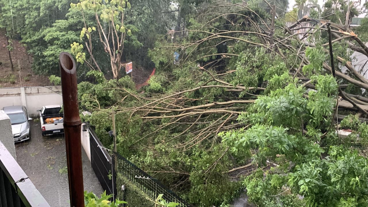 Imagem mostra árvores caídas fechando portao de condominio.