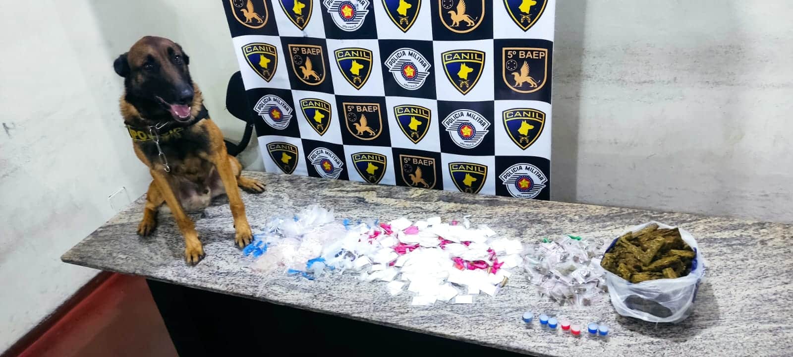 Canil do BAEP: 2,6 Kg de drogas achados em abrigo na Comunidade do Quinze