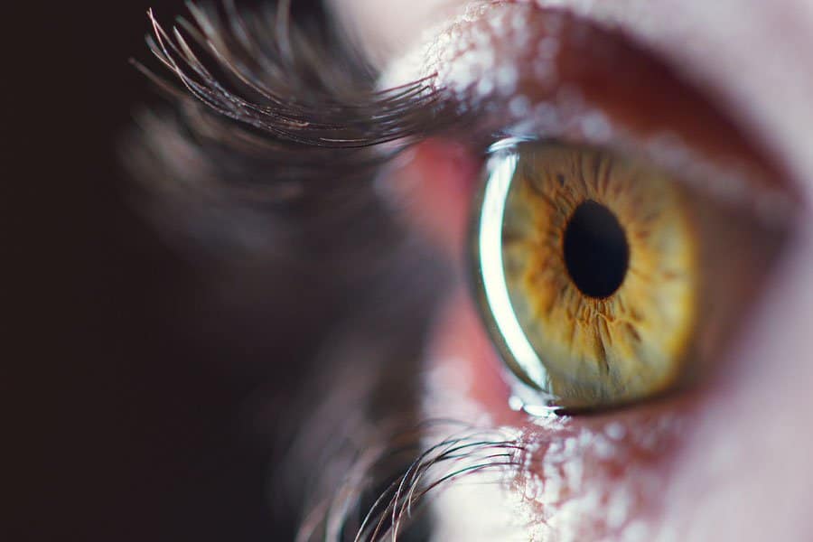 Até 2,5 milhões podem ter glaucoma no Brasil, diz sociedade médica