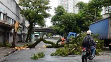 Falta de energia já dura três dias e gera prejuízos para moradores e comerciantes em São Paulo