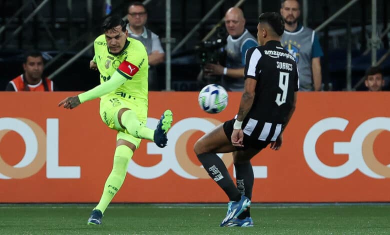 Palmeiras vira sobre o Botafogo em jogo eletrizante pelo Brasileirão