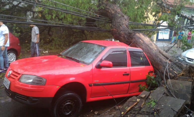 Fortes chuvas e ventos causam seis mortes em São Paulo