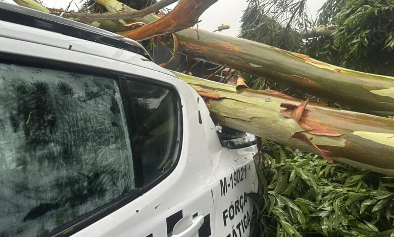 Viaturas e veículos de policiais militares foram atingidos por árvores na Zona Leste de São Paulo