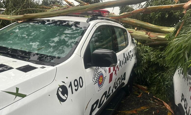 Viaturas e veículos de policiais militares foram atingidos por árvores na Zona Leste de São Paulo