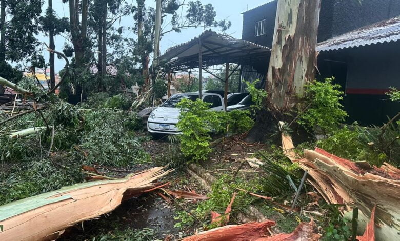 Viaturas e veículos de policiais militares foram atingidos por árvores na Zona Leste de São Paulo