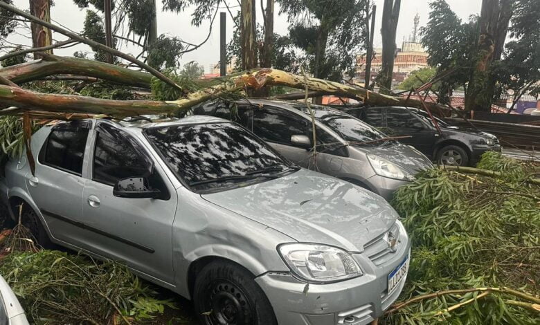 Viaturas e veículos de policiais militares foram atingidos por árvores na Zona Leste de São Paulo