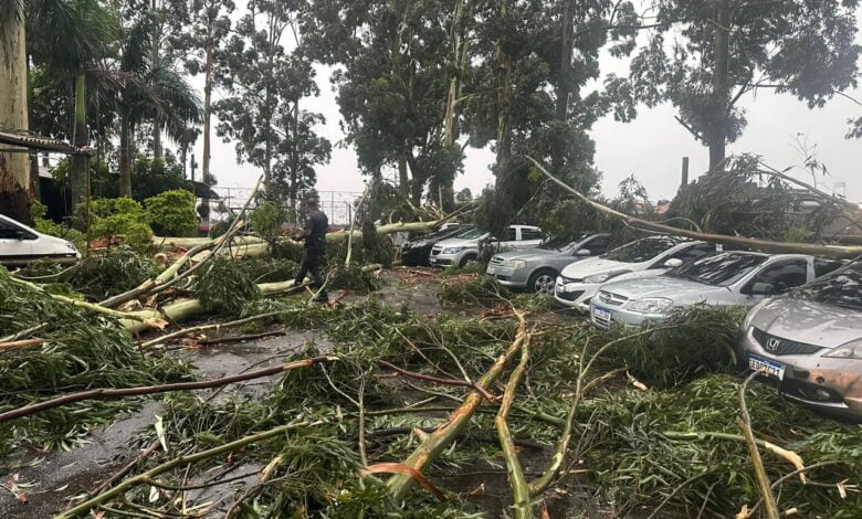 Viaturas e veículos de policiais militares foram atingidos por árvores na Zona Leste de São Paulo