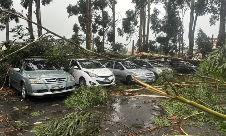 Viaturas e veículos de policiais militares foram atingidos por árvores na Zona Leste de São Paulo