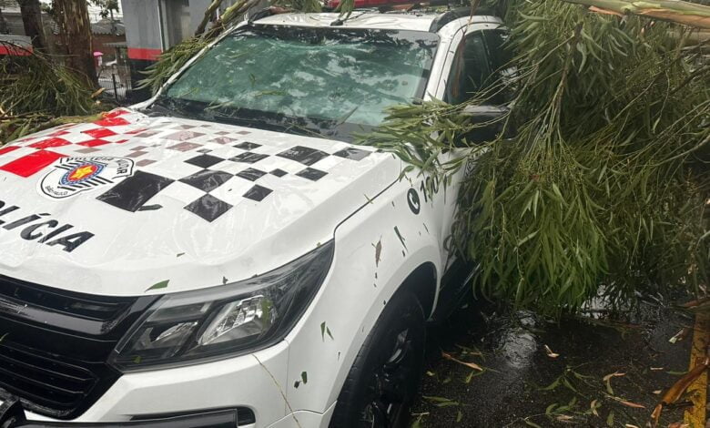 Viaturas e veículos de policiais militares foram atingidos por árvores na Zona Leste de São Paulo