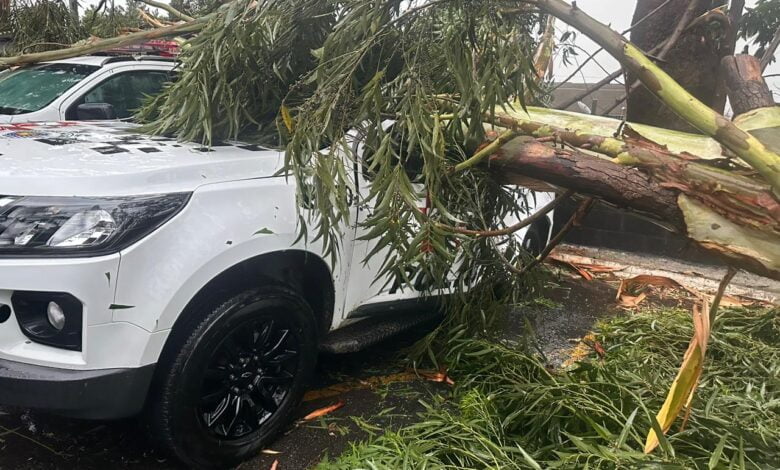 Viaturas e veículos de policiais militares foram atingidos por árvores na Zona Leste de São Paulo