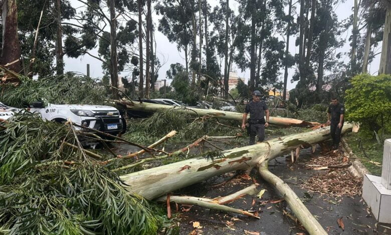 Viaturas e veículos de policiais militares foram atingidos por árvores na Zona Leste de São Paulo