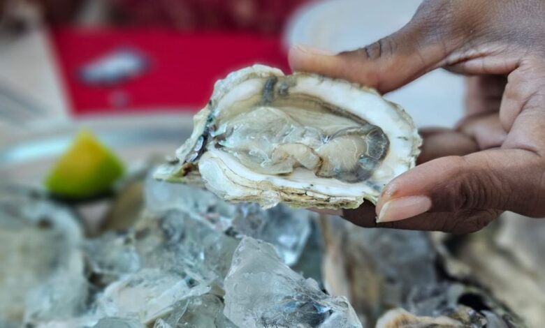 Consumo de ostras e mexilhões é parcialmente liberado em São Paulo