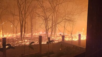 Emergência em São Paulo: Incêndios florestais levam a decretação de situação de emergência em 45 cidades