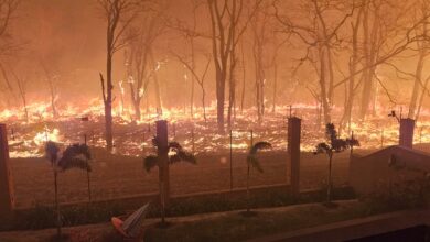 Emergência em São Paulo: Incêndios florestais levam a decretação de situação de emergência em 45 cidades