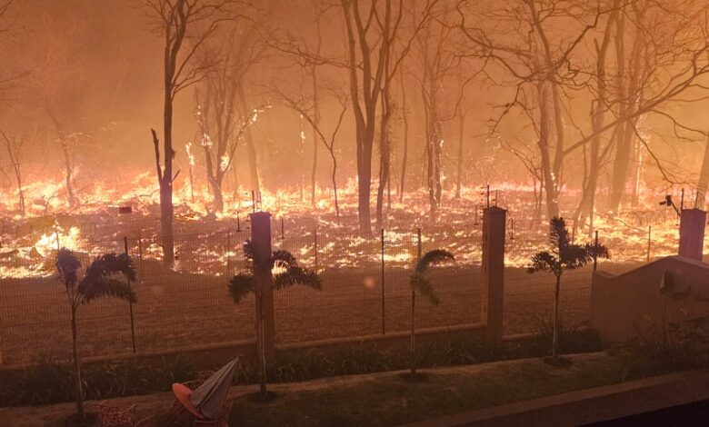 Emergência em São Paulo: Incêndios florestais levam a decretação de situação de emergência em 45 cidades