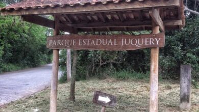 São Paulo prorroga fechamento de 81 parques devido a risco de incêndios