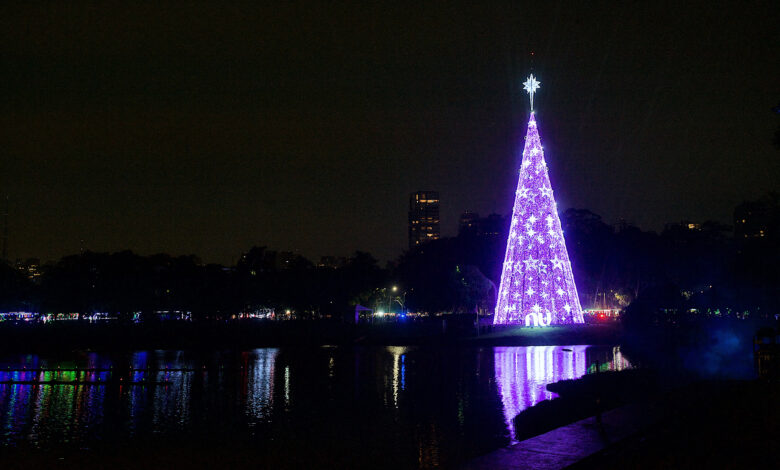 Maior árvore de Natal de São Paulo é inaugurada com 57 metros de altura no Parque Ibirapuera