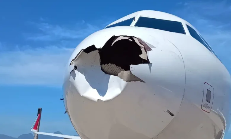 Latam cancela voo após colisão com pássaro durante decolagem no Rio