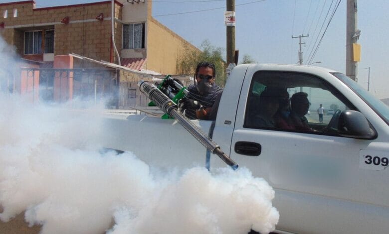 São Paulo registra primeira morte por dengue em 2025