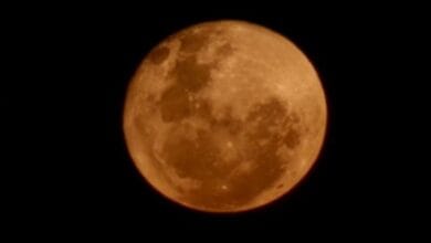 Eclipse Lunar Total ocorre nesta madrugada; confira os horários e como observar em São Paulo