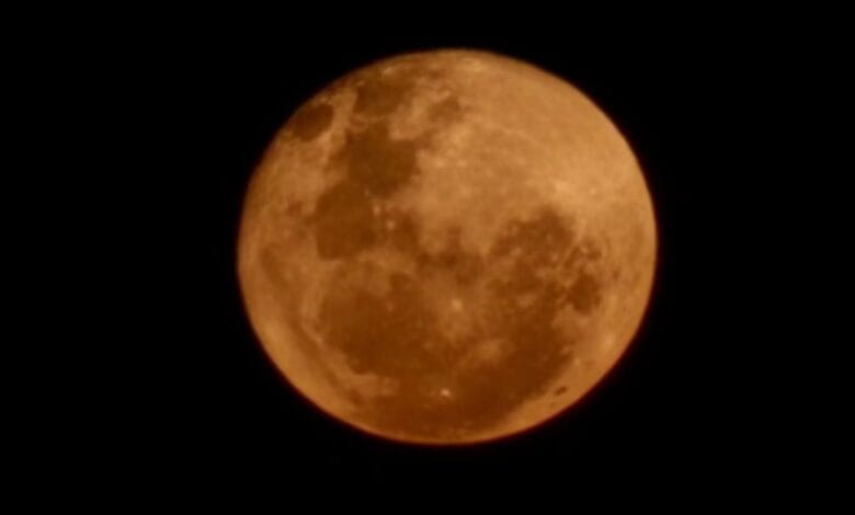 Eclipse Lunar Total ocorre nesta madrugada; confira os horários e como observar em São Paulo