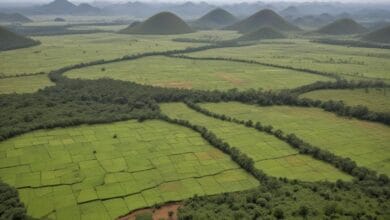 impacto-das-mudancas-climaticas-na-agricultura-brasileira