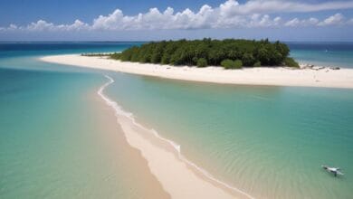 impactos-ambientais-das-mudancas-climaticas-nas-ilhas