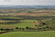 roteiros-de-turismo-rural-perto-de-cidades-grandes
