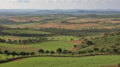 roteiros-de-turismo-rural-perto-de-cidades-grandes