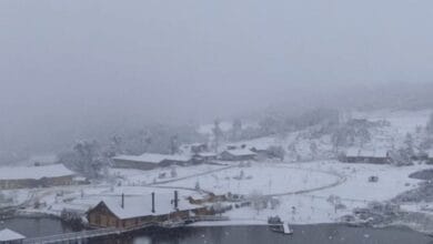 Massa de ar polar promete frio histórico no Brasil com chance de neve e mínimas abaixo de -10 °C