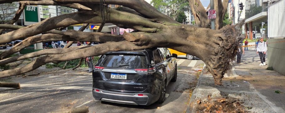 Árvore cai e atinge carro e moto no Jardim Paulista, em SP, e deixa duas pessoas feridas