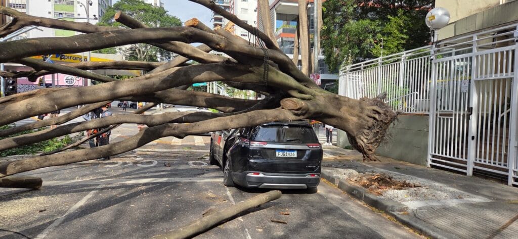 Árvore cai e atinge carro e moto no Jardim Paulista, em SP, e deixa duas pessoas feridas