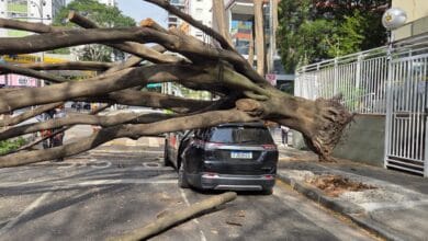 Árvore cai e atinge carro e moto no Jardim Paulista, em SP, e deixa duas pessoas feridas