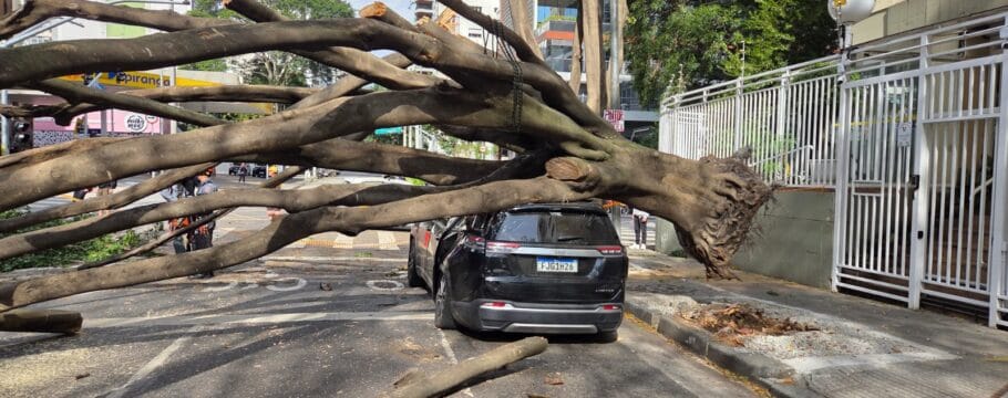 Árvore cai e atinge carro e moto no Jardim Paulista, em SP, e deixa duas pessoas feridas