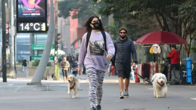 São Paulo registra 14,2°C e bate recorde de frio em 2025