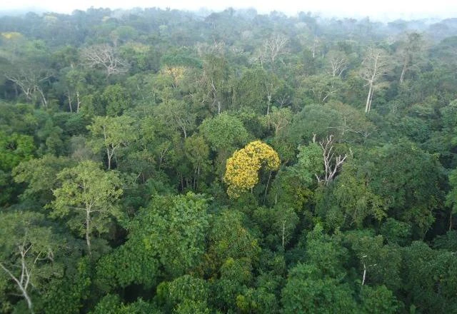 Senado aprova novo marco legal do licenciamento ambiental