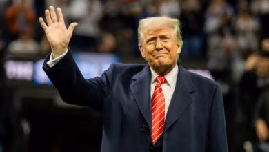 Trump anuncia conversas com Putin e Zelensky para negociar cessar-fogo na Ucrânia