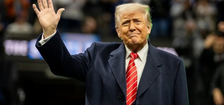 Trump anuncia conversas com Putin e Zelensky para negociar cessar-fogo na Ucrânia