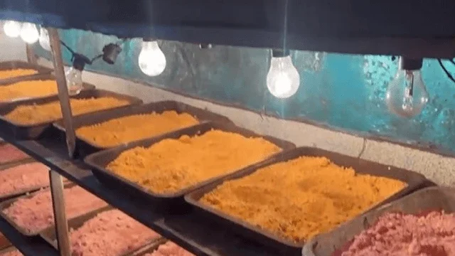 Homem é preso em laboratório de drogas sintéticas no Guarujá, SP