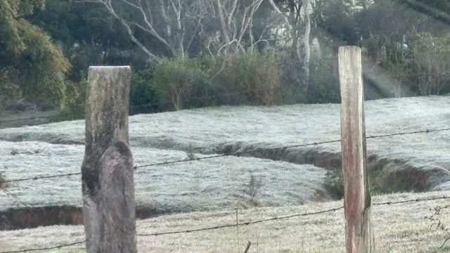 Interior de SP registra temperaturas negativas e capital tem madrugada mais fria de 2025