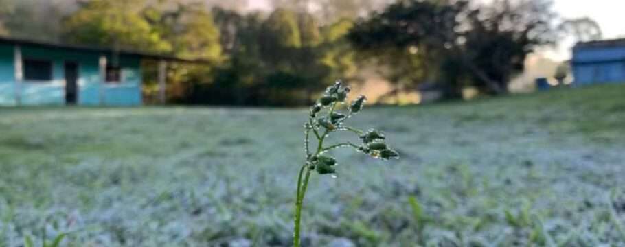 Manhã mais fria do ano tem geada no extremo sul da cidade de São Paulo