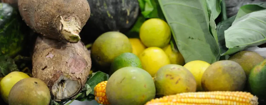 Preço da cesta básica cai em 15 das 17 capitais brasileiras em maio