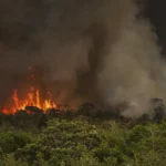 Queimadas fazem desmatamento na Amazônia crescer 92% em maio