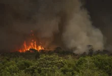Queimadas fazem desmatamento na Amazônia crescer 92% em maio
