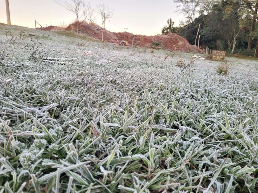 Temperatura Despenca em Urupema: Cidade Registra –8,2 °C e Paisagem de Gelo
