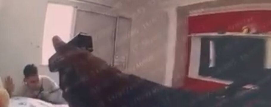 Câmera corporal mostra PM executando suspeito rendido em Paraisópolis