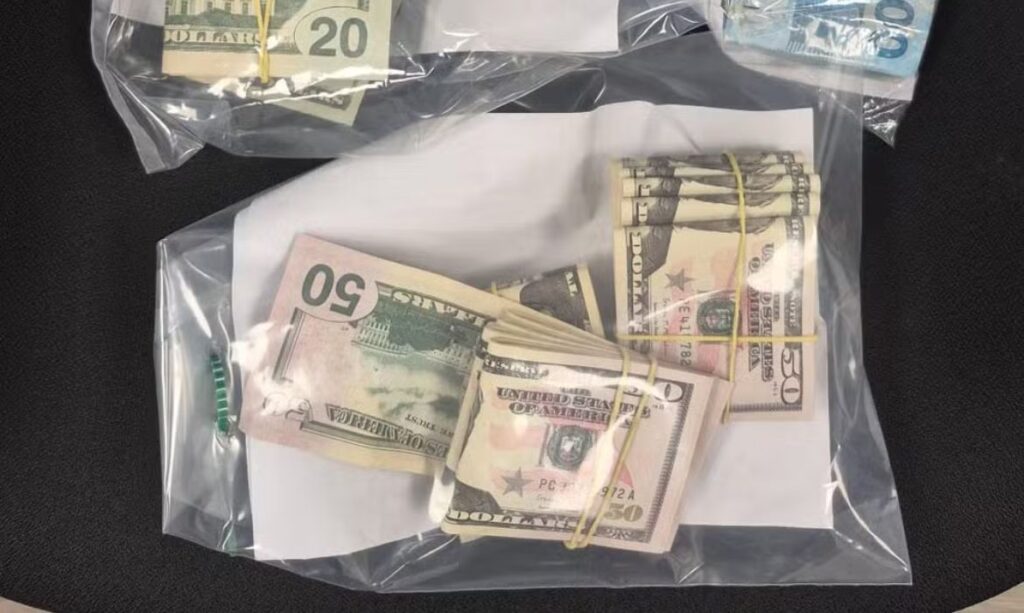 PF apreende dinheiro vivo e pendrive na casa de Bolsonaro durante operação do STF