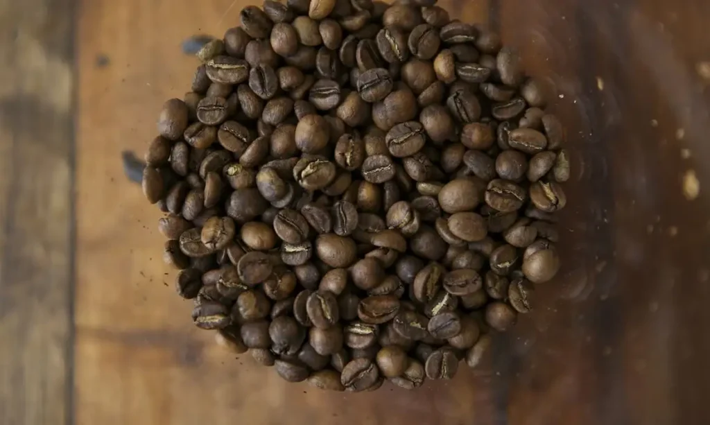 Tarifaço dos EUA ameaça vendas de suco de laranja, café, carne e frutas brasileiras